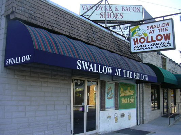 Swallow at the Hollow